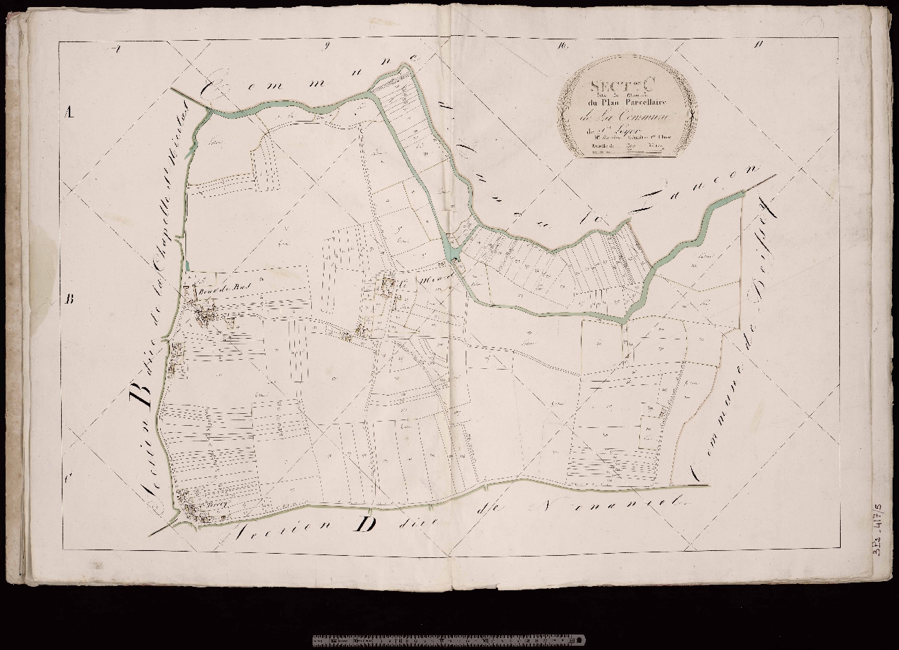Section C
