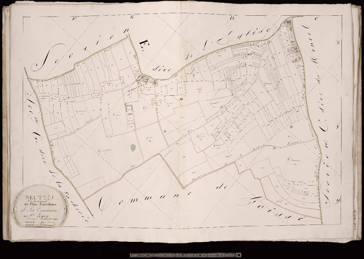 Section D