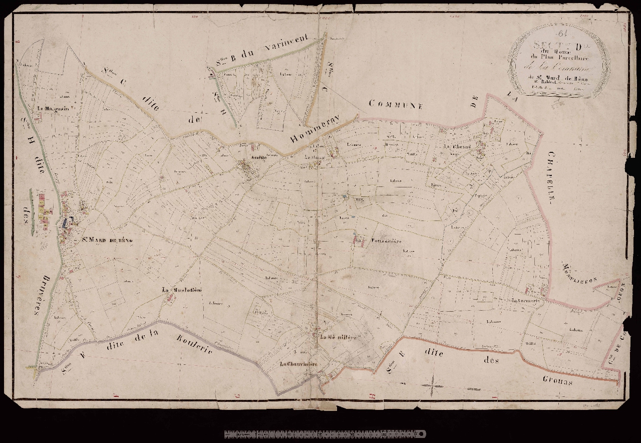 Section D