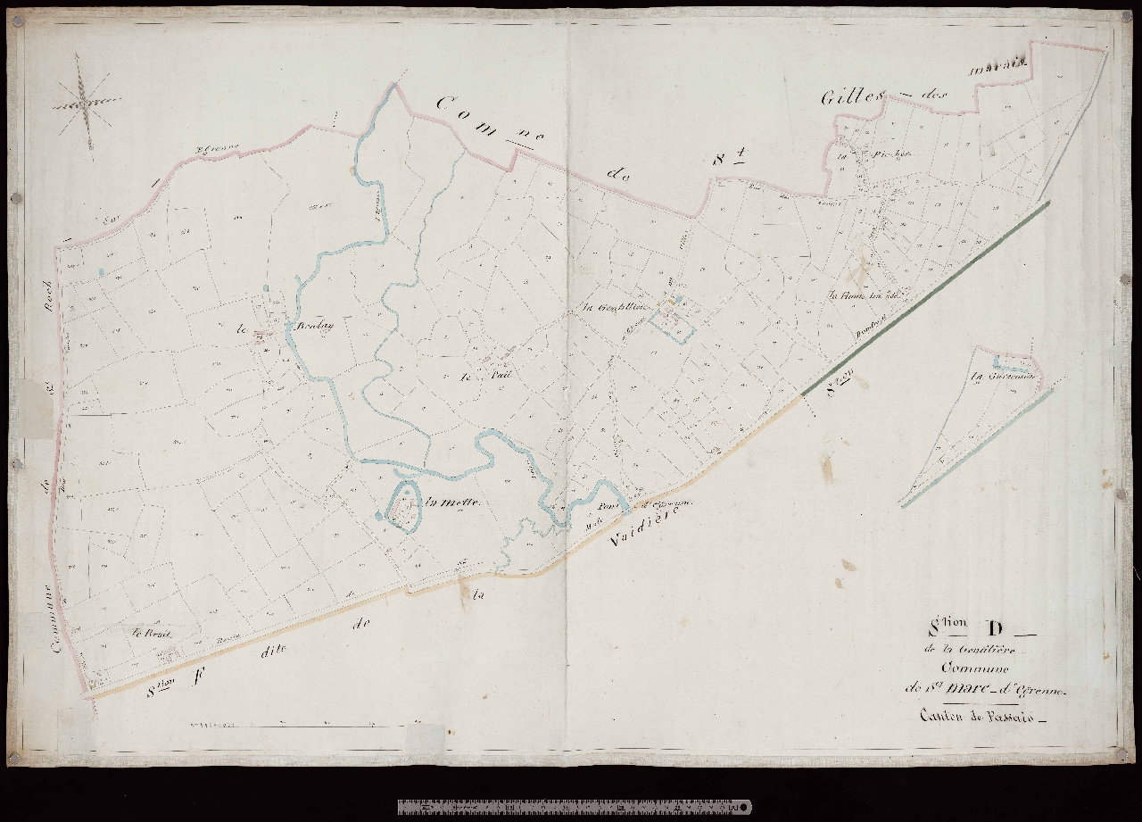Section D