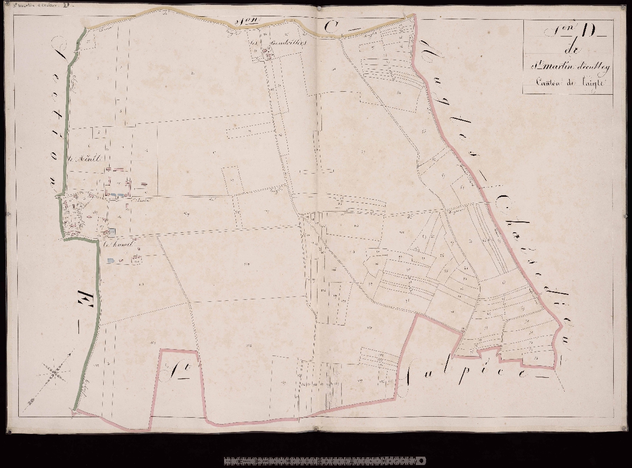 Section D