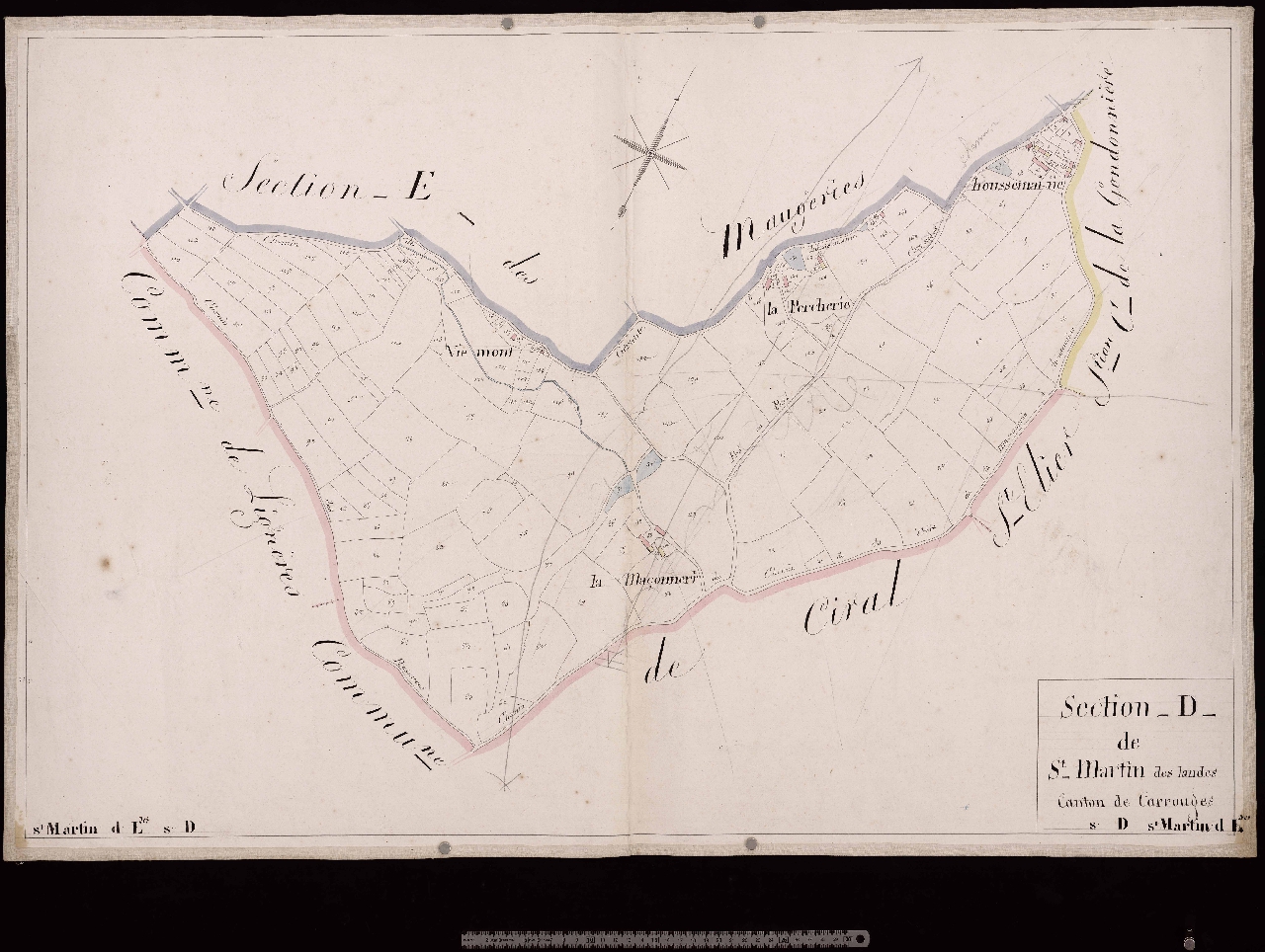 Section D