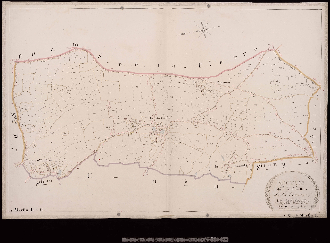 Section C1