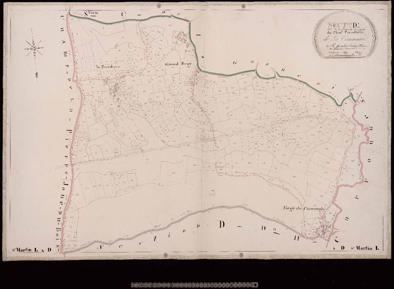 Section D1