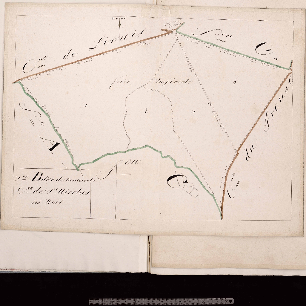 Section B