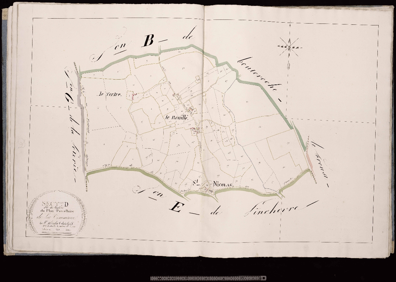 Section D