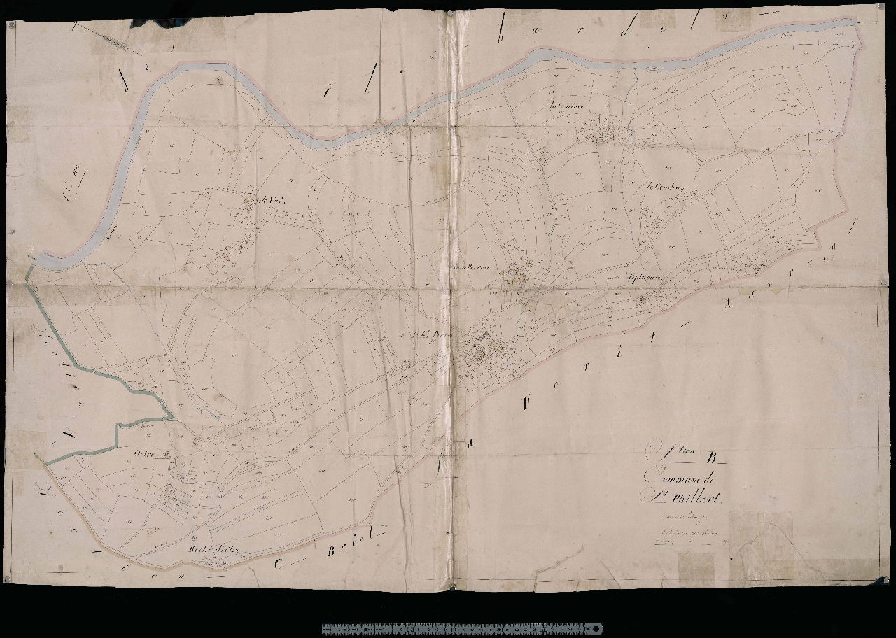 Section B