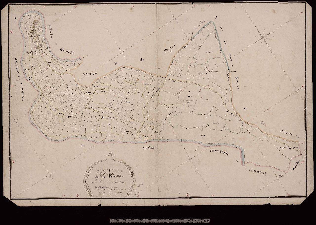 Section C