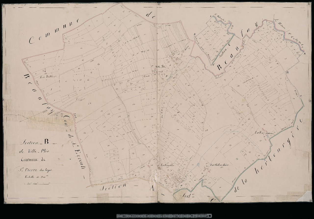 Section B
