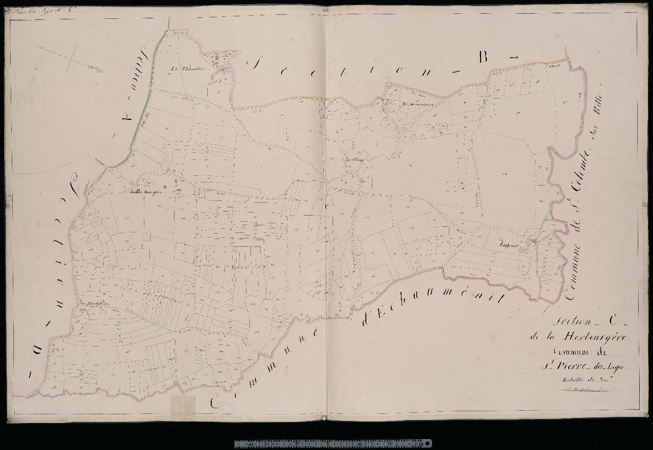Section C