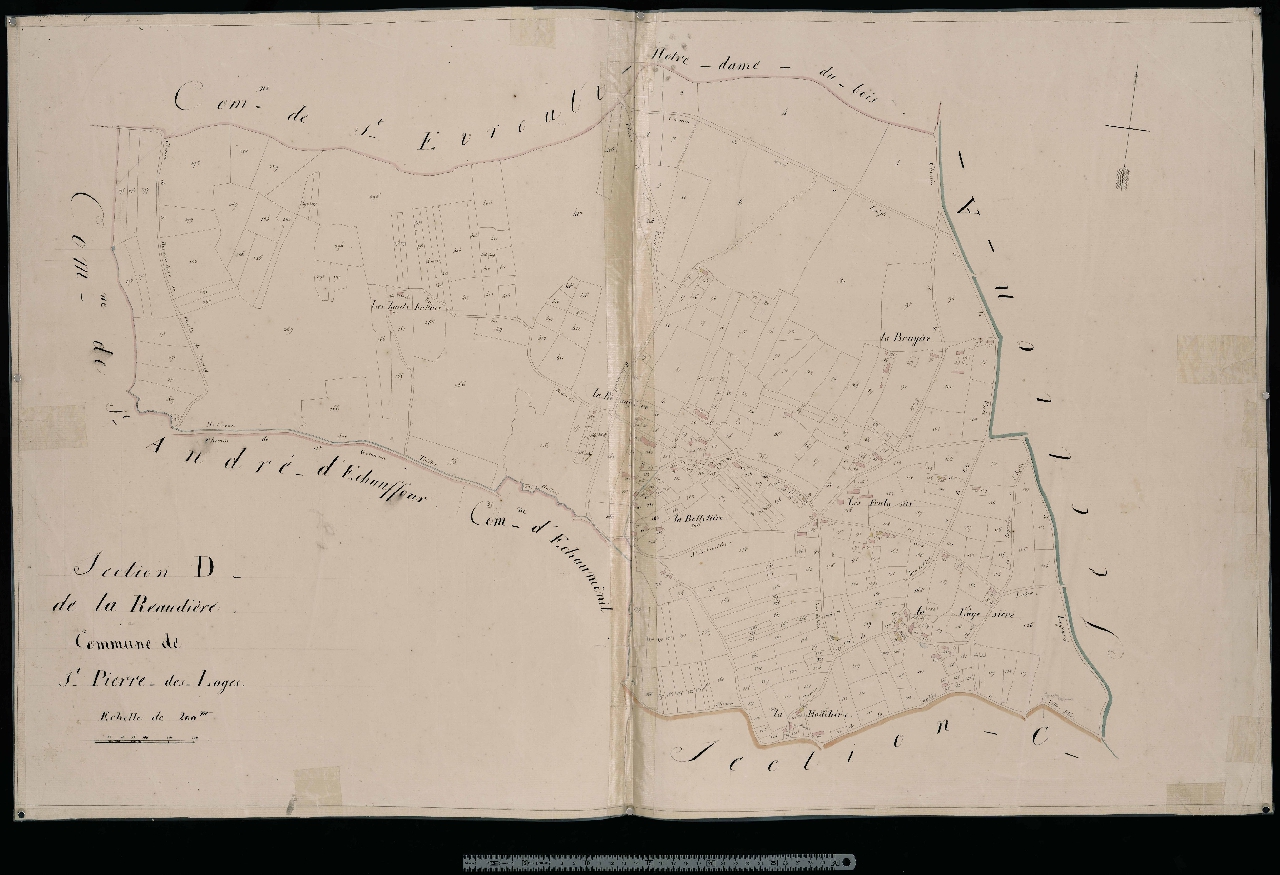 Section D