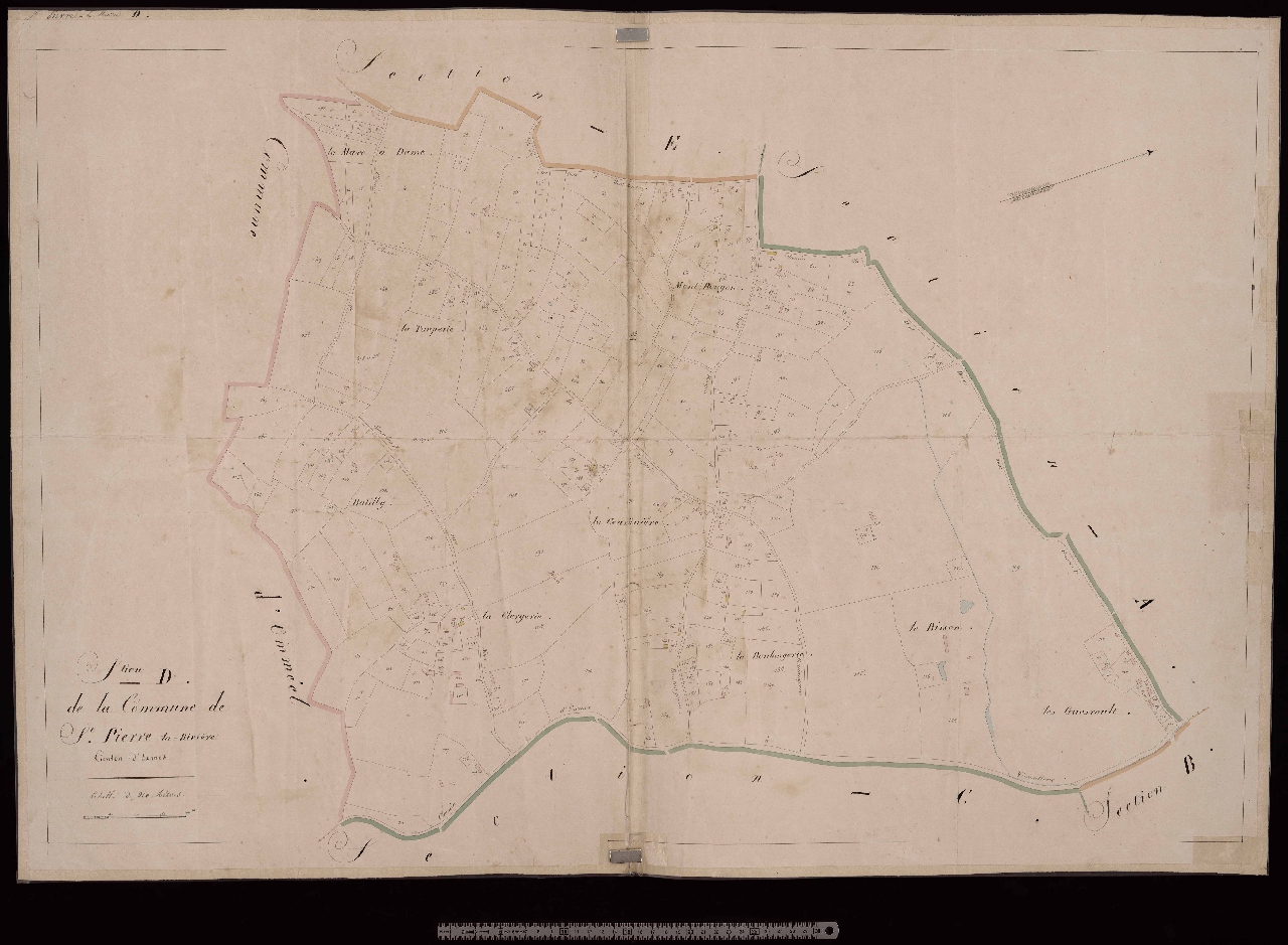 Section D
