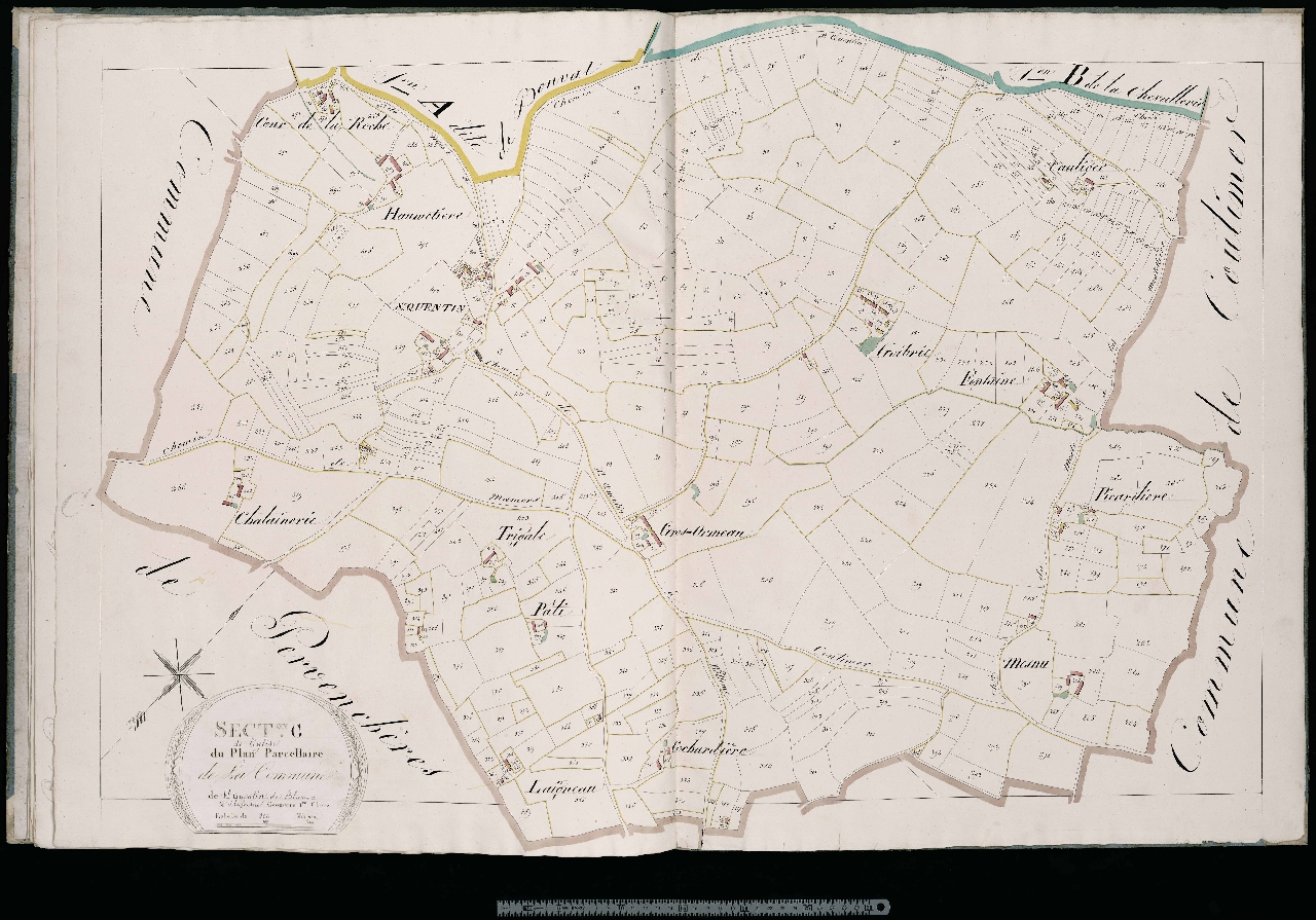 Section C