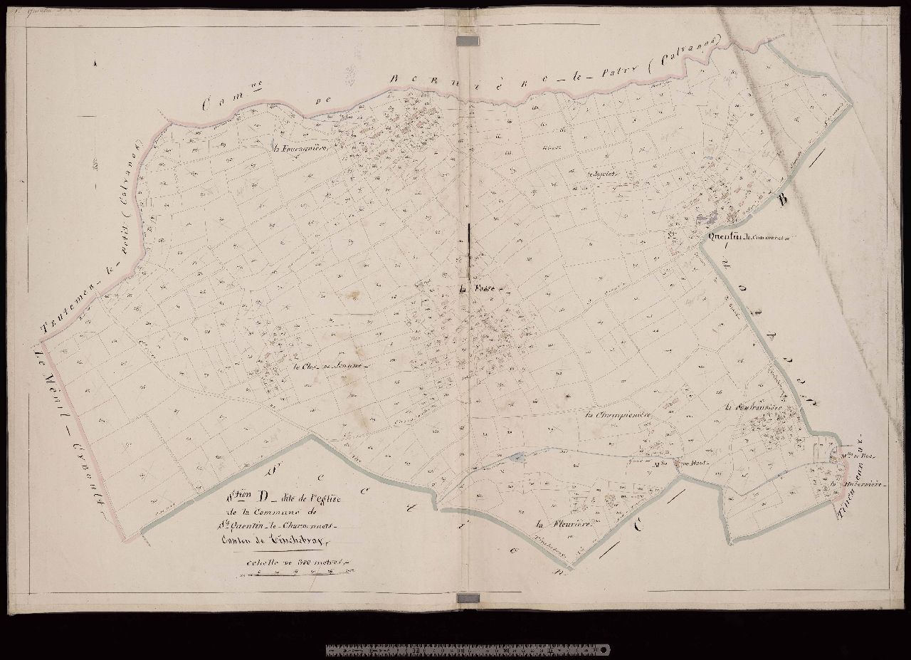 Section D