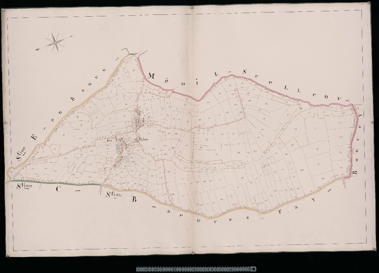 Section A