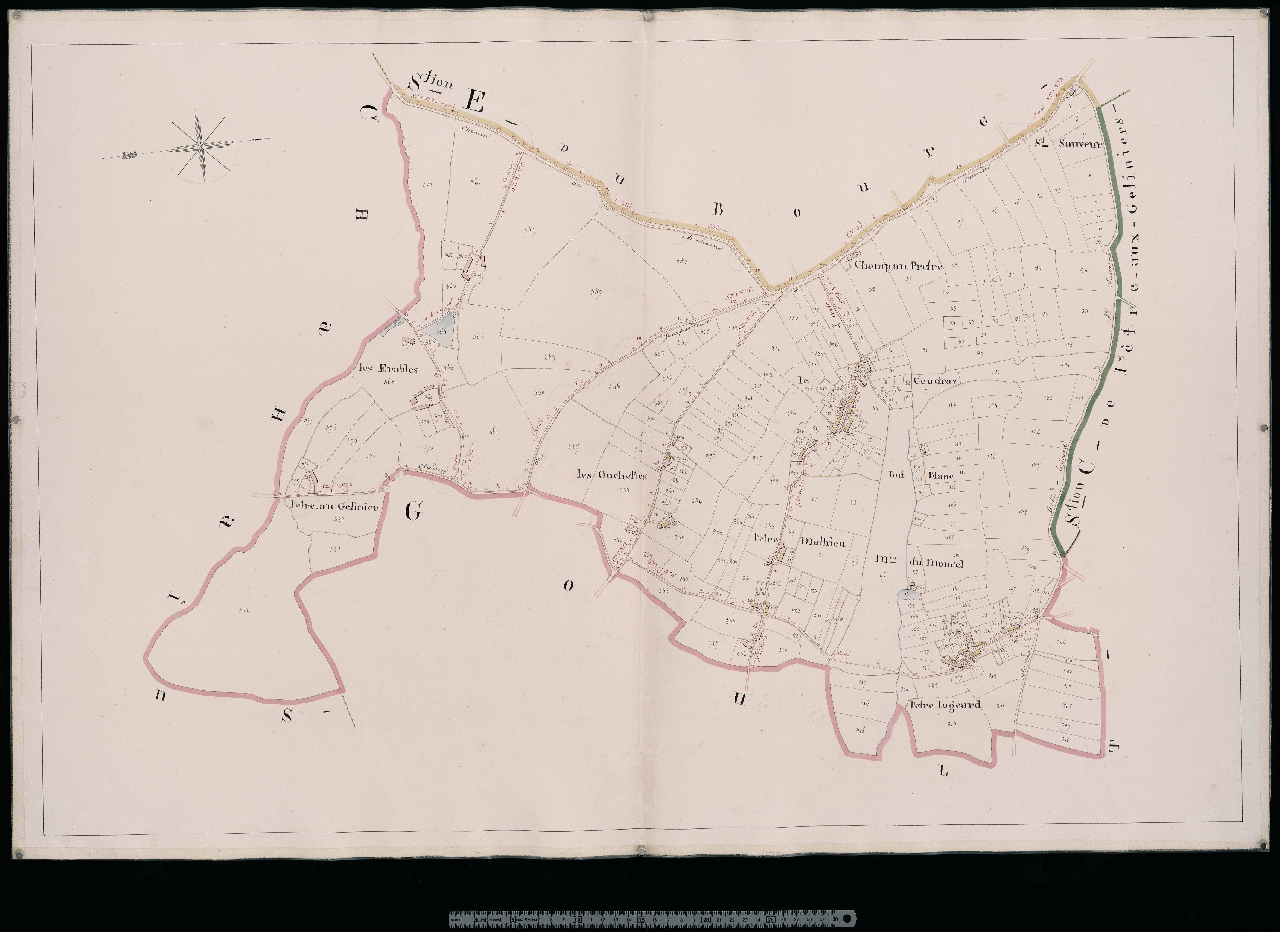 Section D