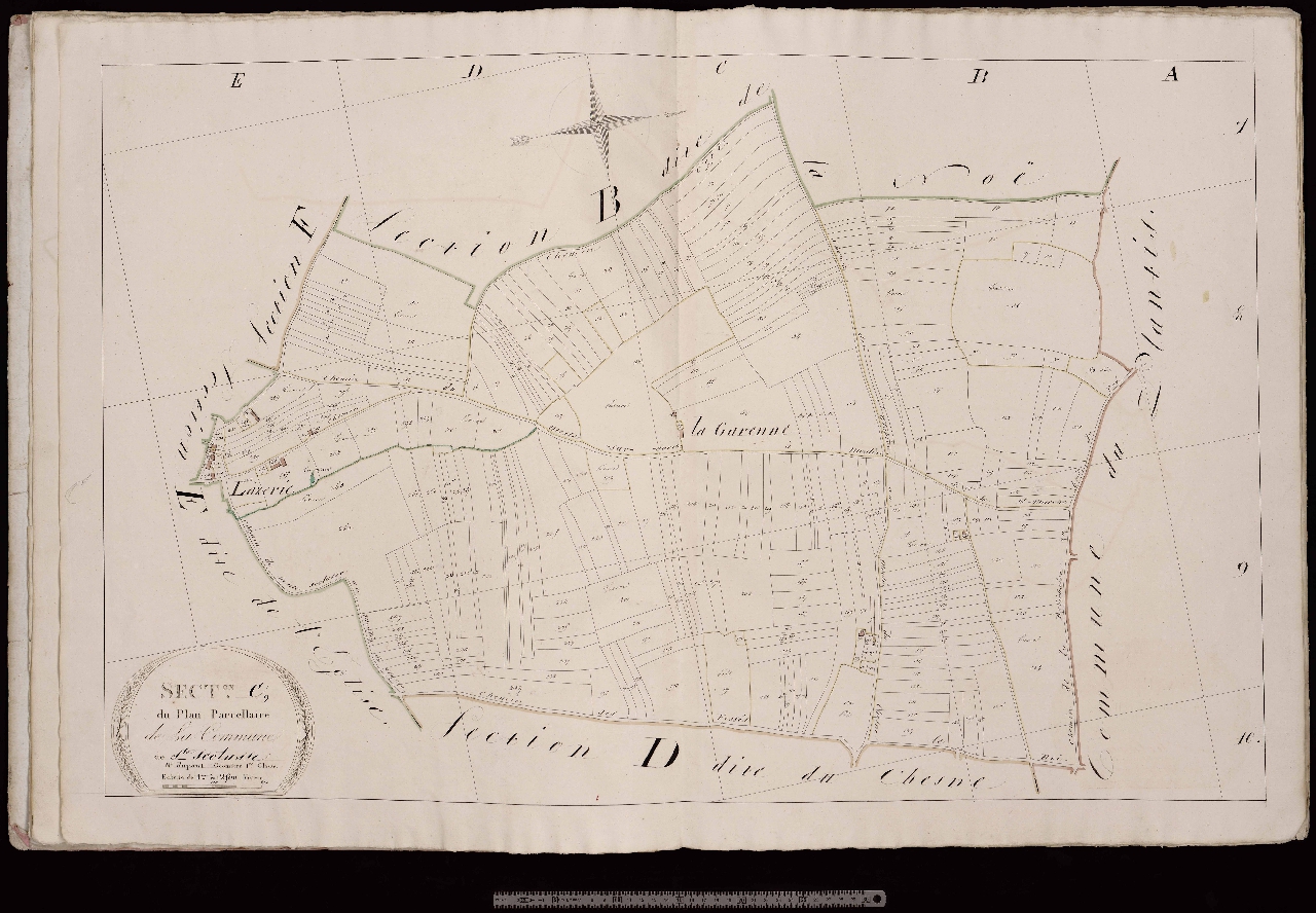 Section C