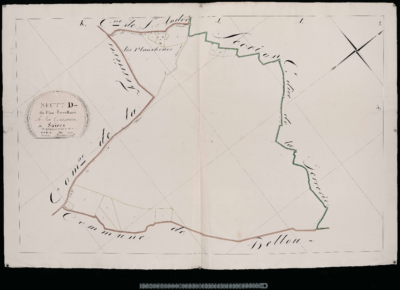 Section D