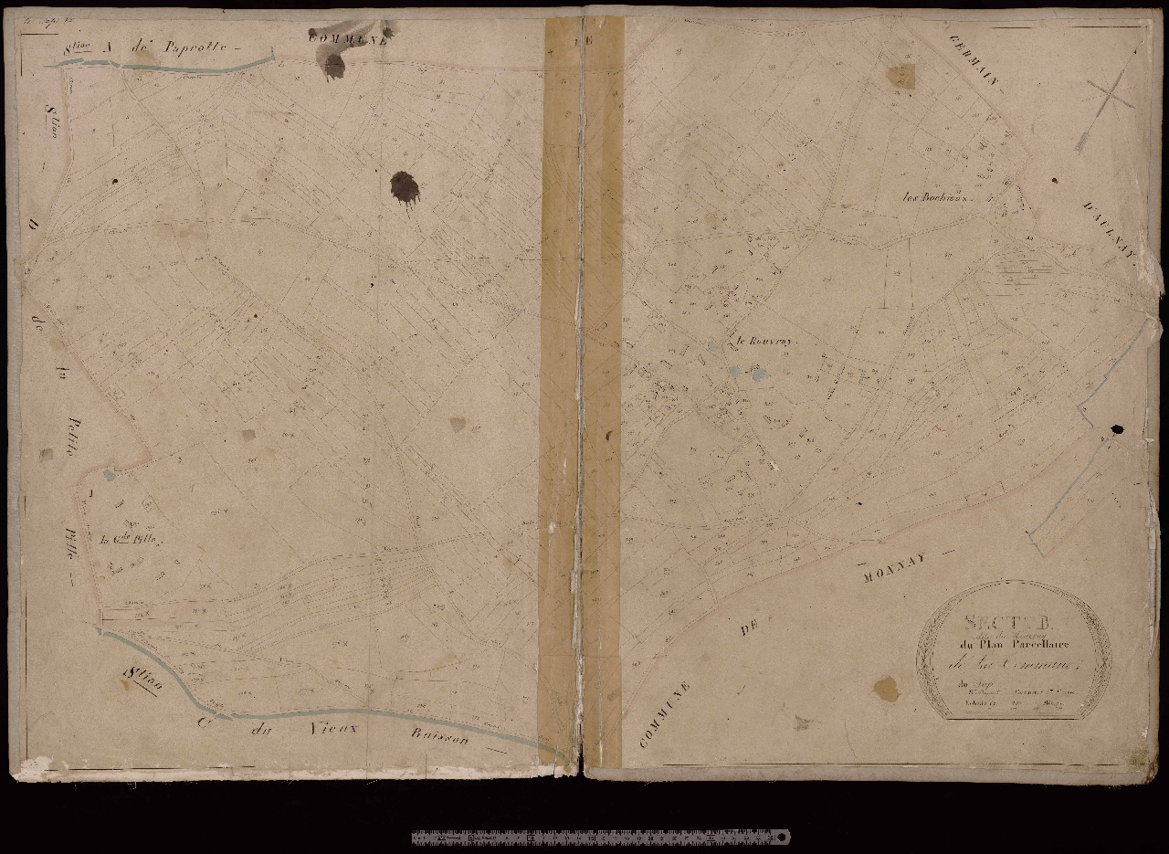 Section B