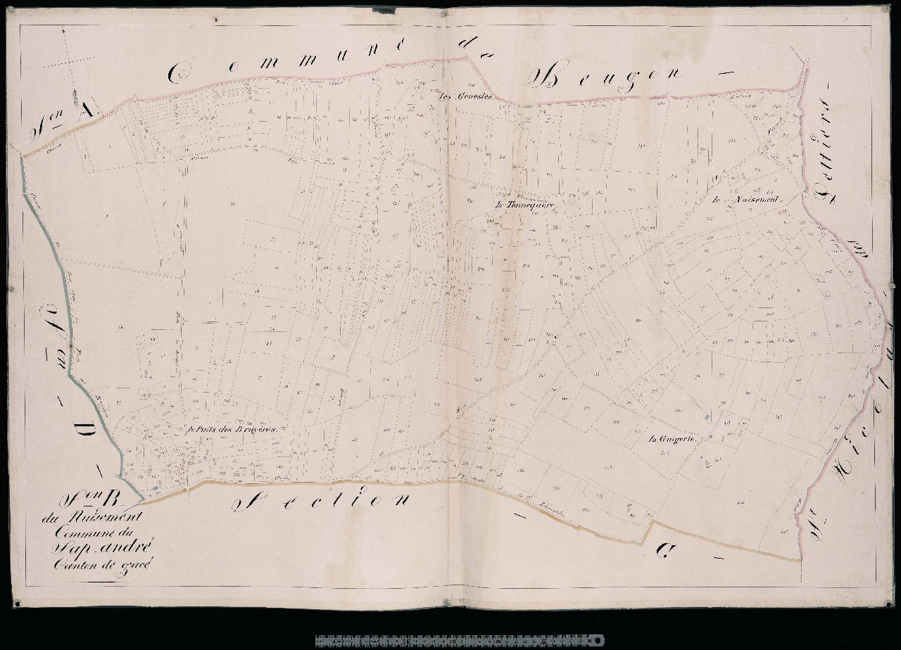 Section B
