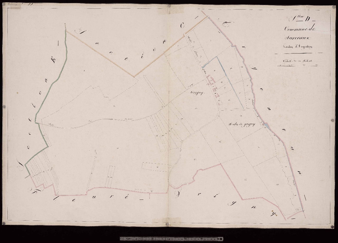 Section D