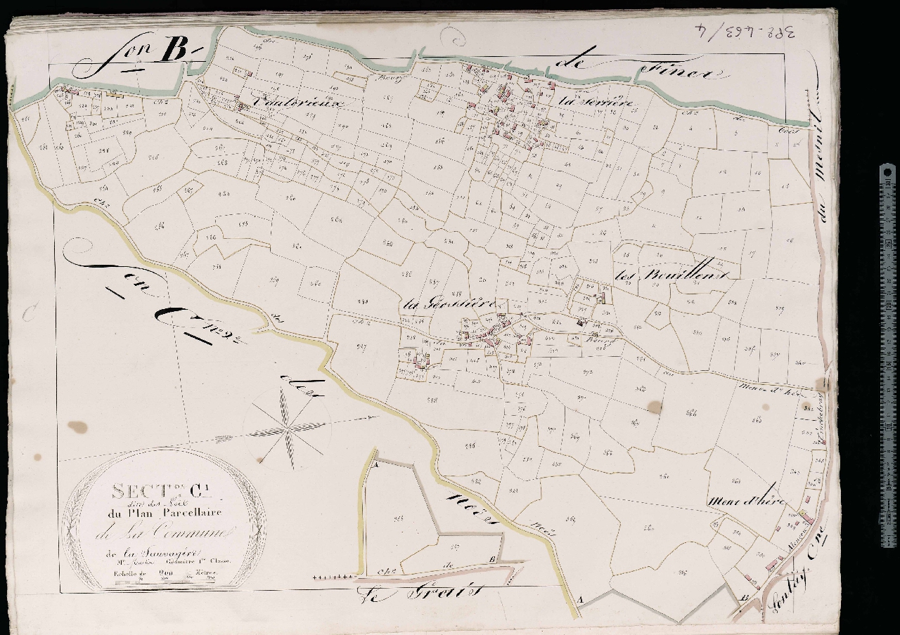 Section C1