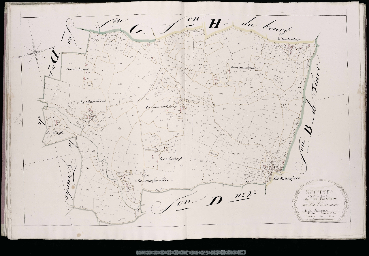 Section D3