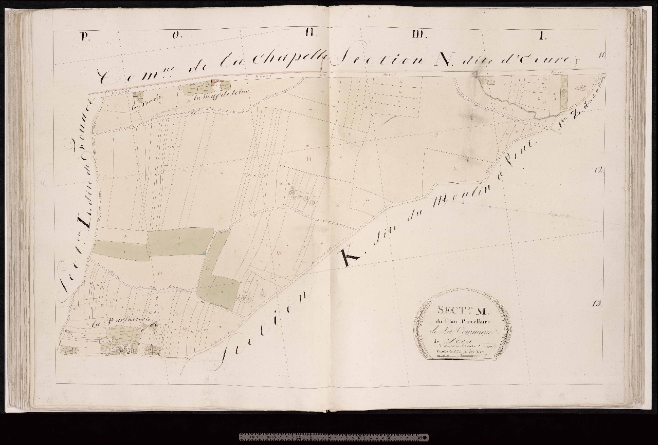 Section M