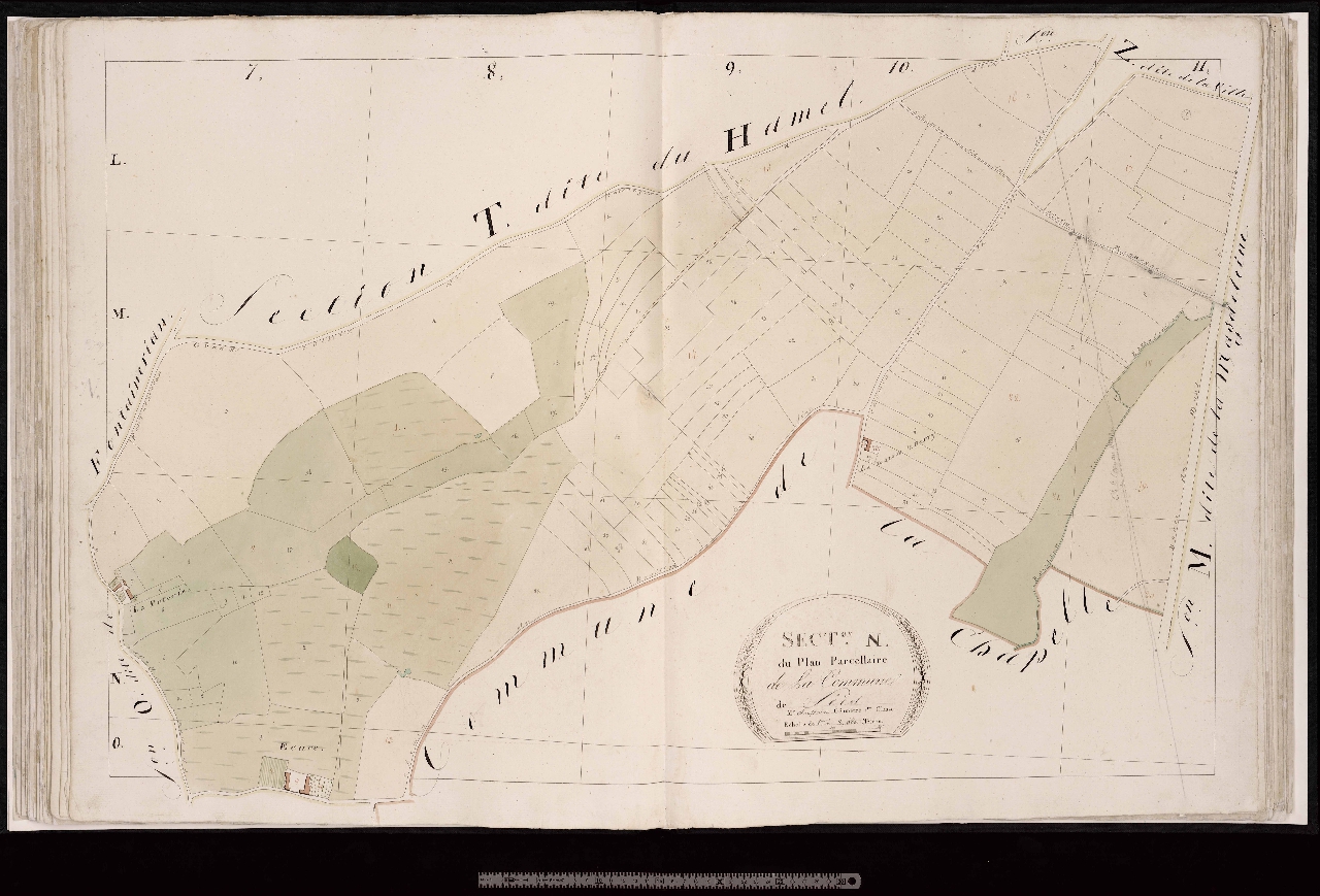 Section N