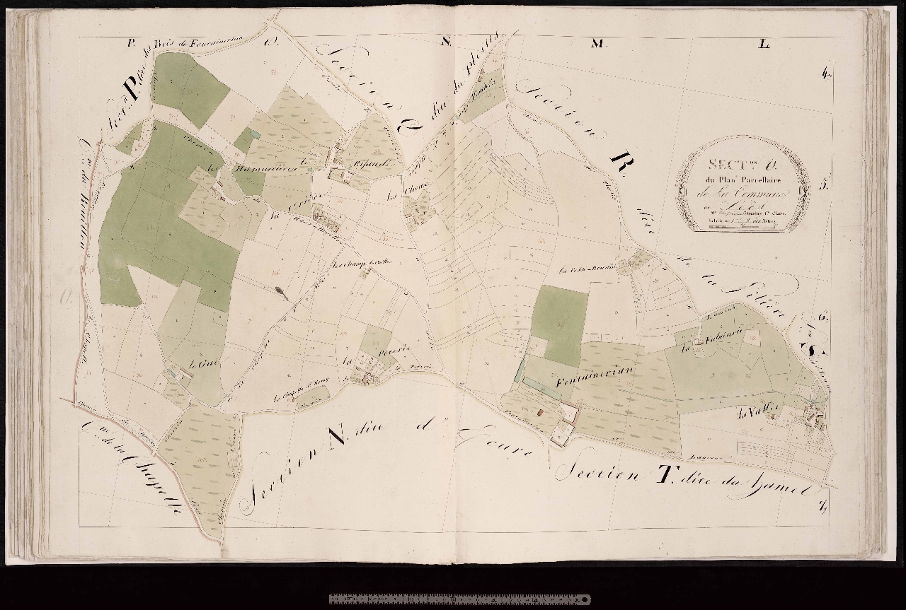 Section O