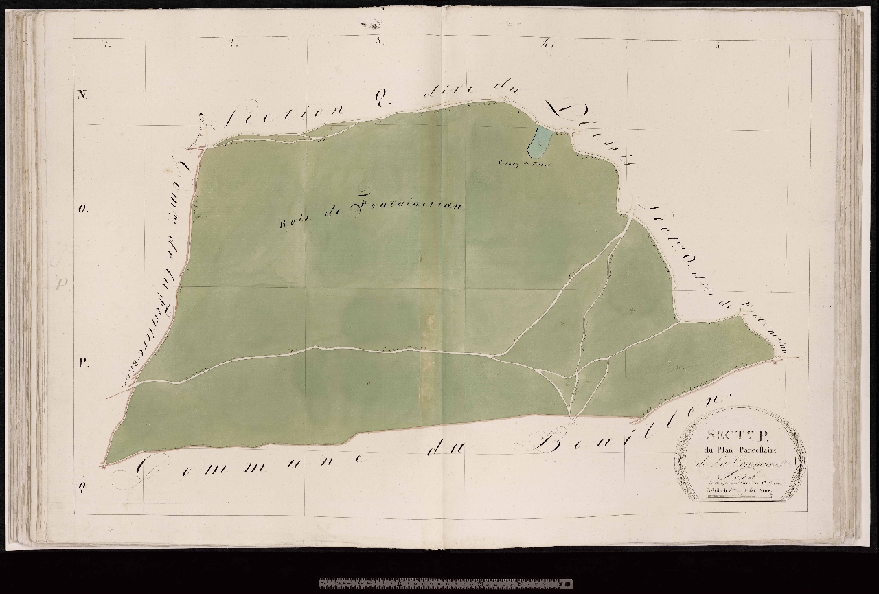 Section P