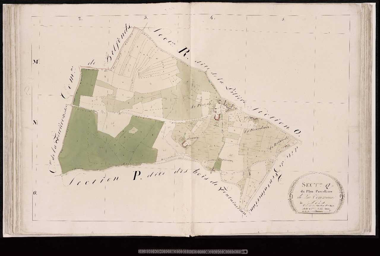 Section Q
