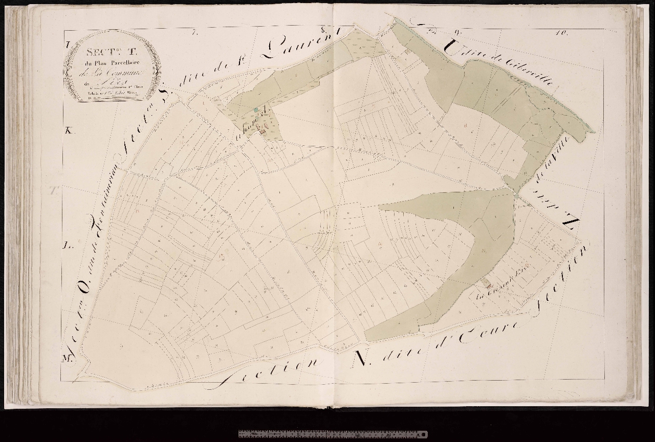 Section T