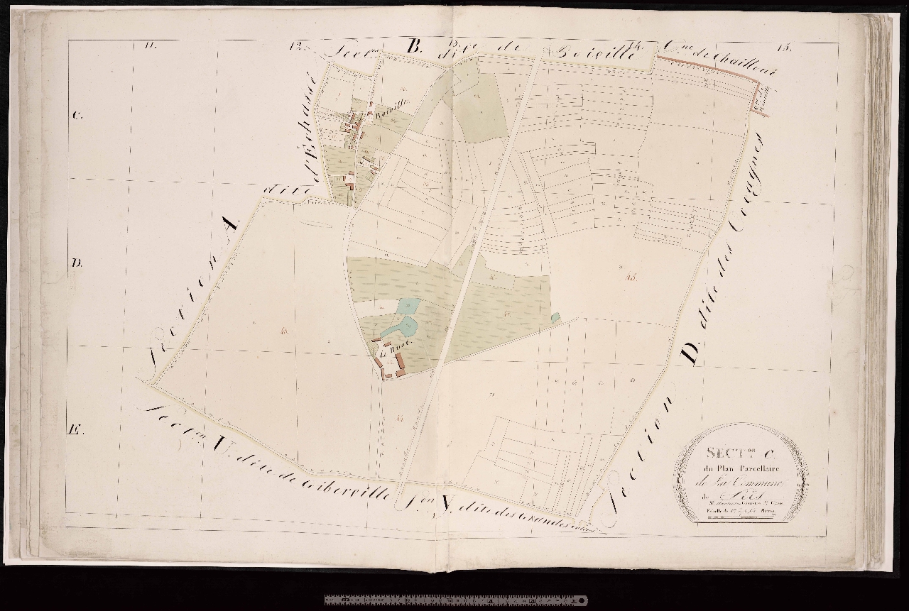 Section C