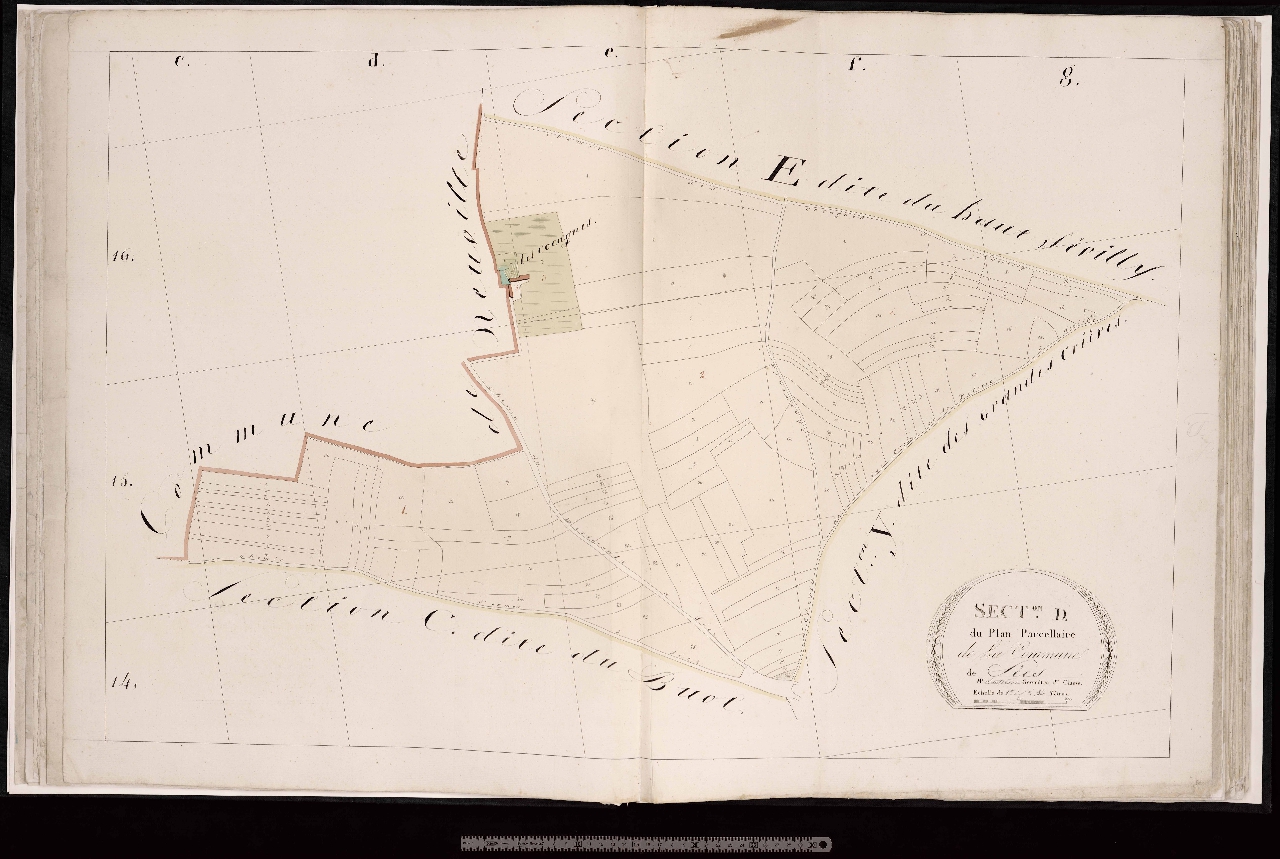Section D