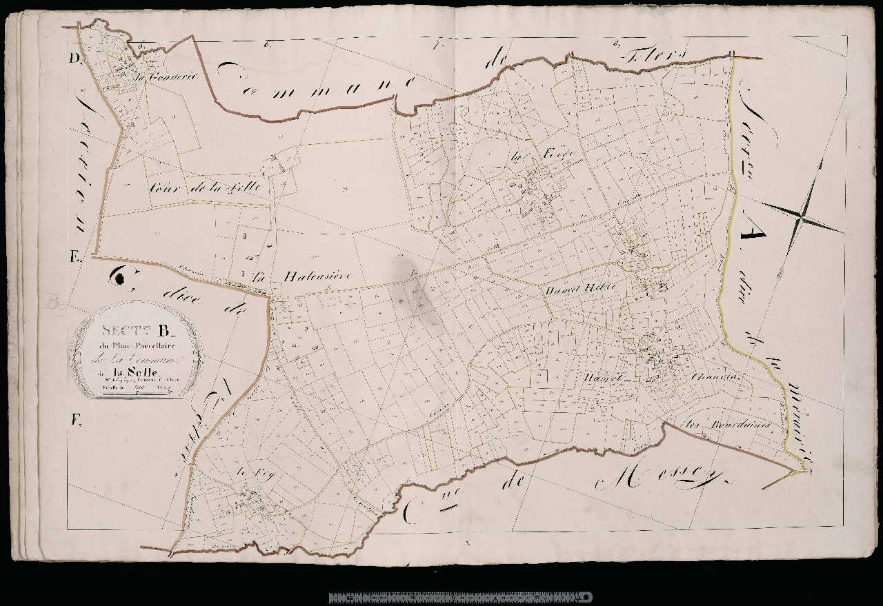 Section B
