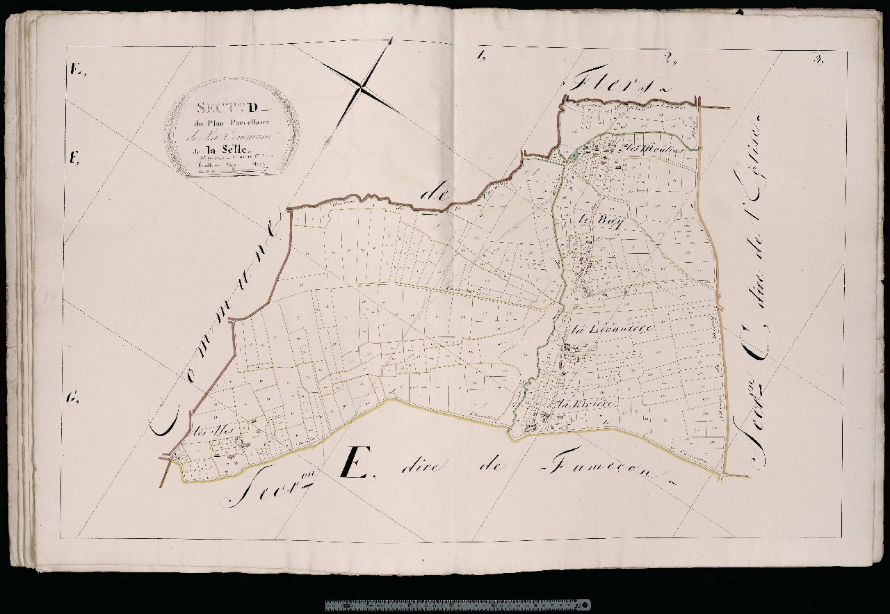 Section D