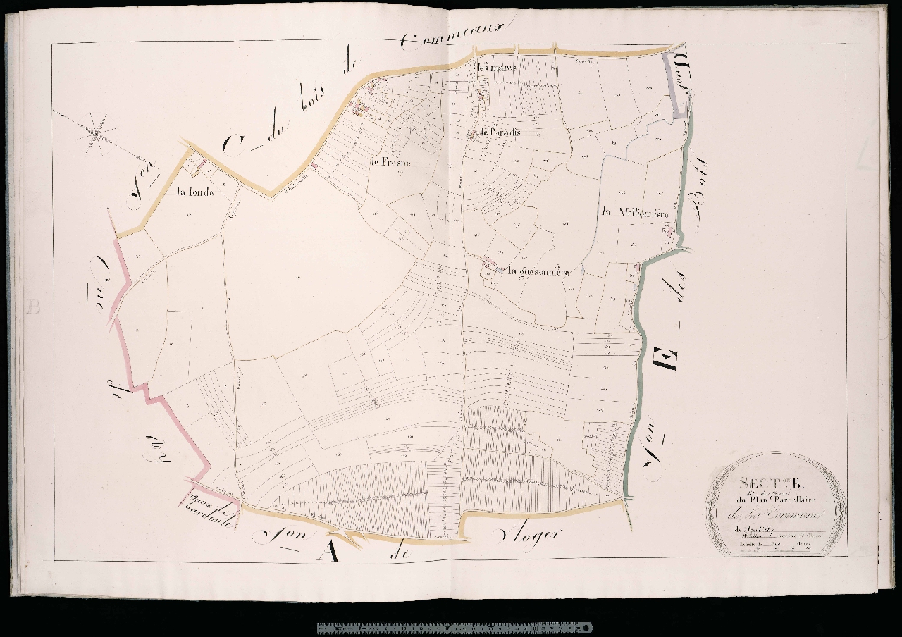 Section B