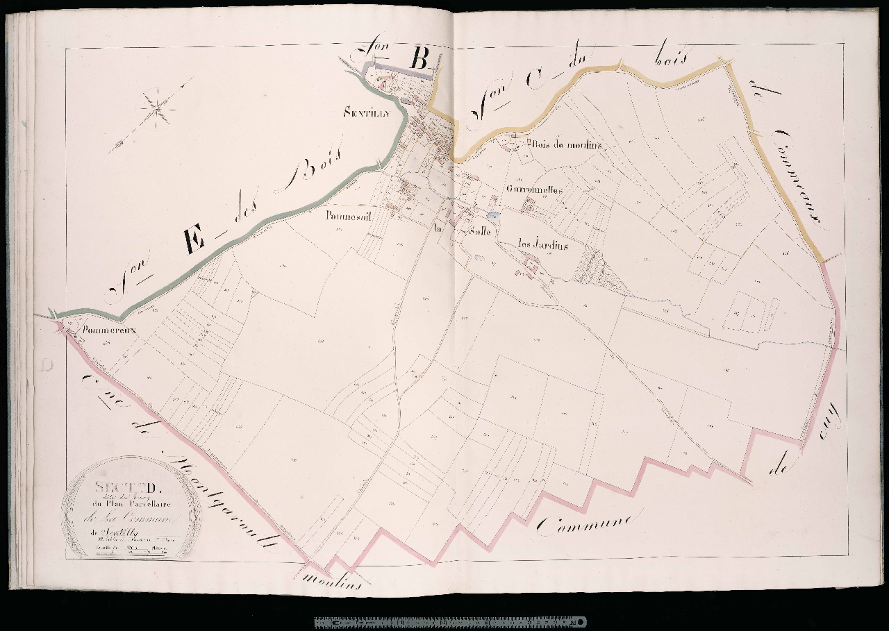 Section D