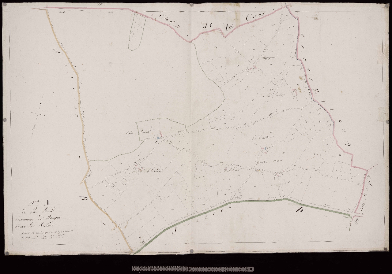 Section A