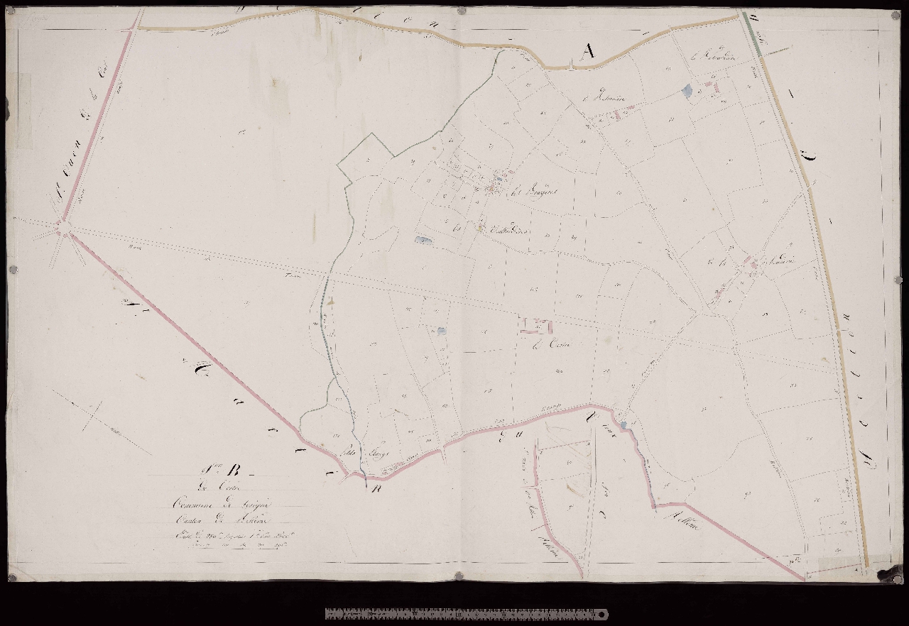 Section B