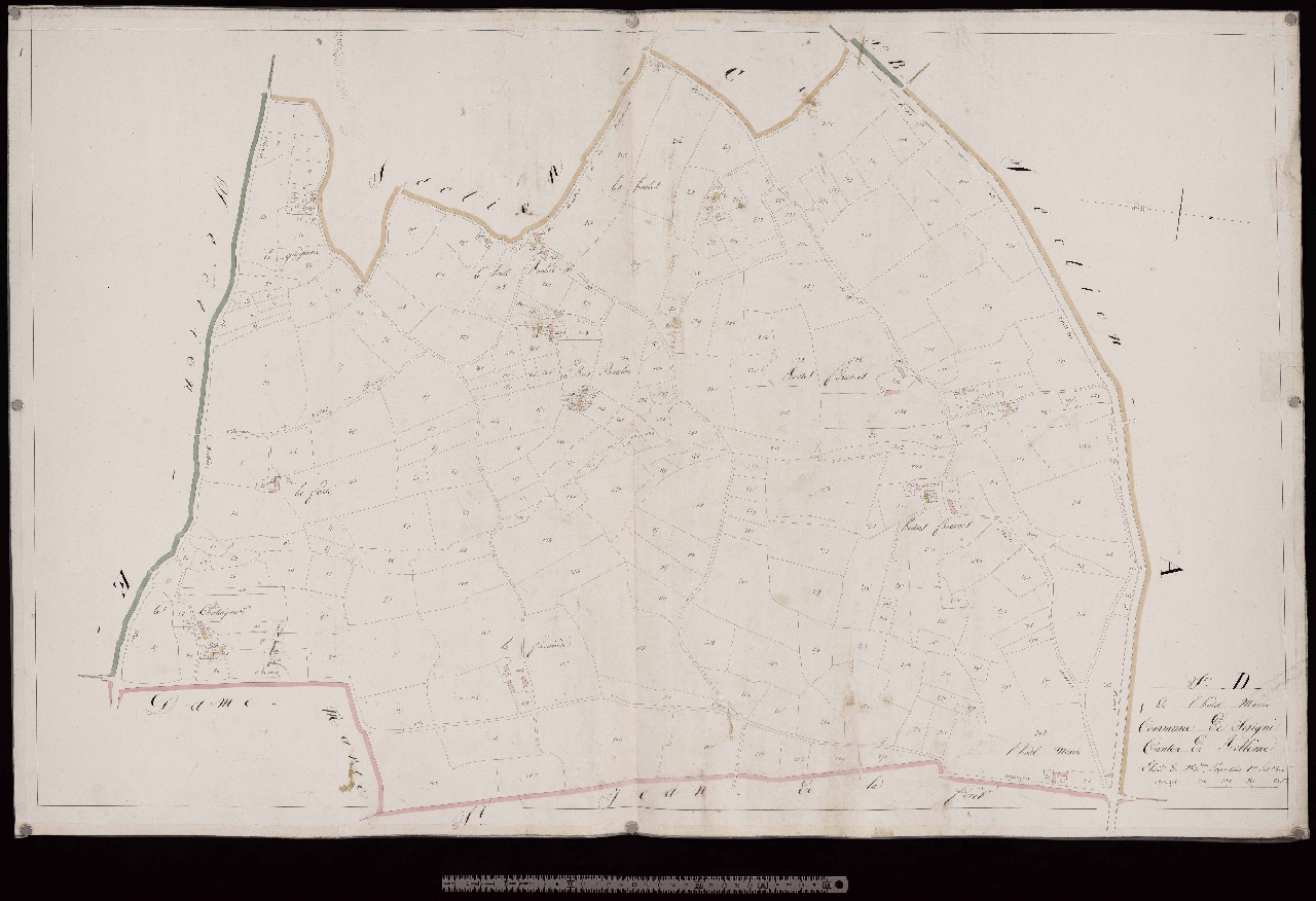 Section D