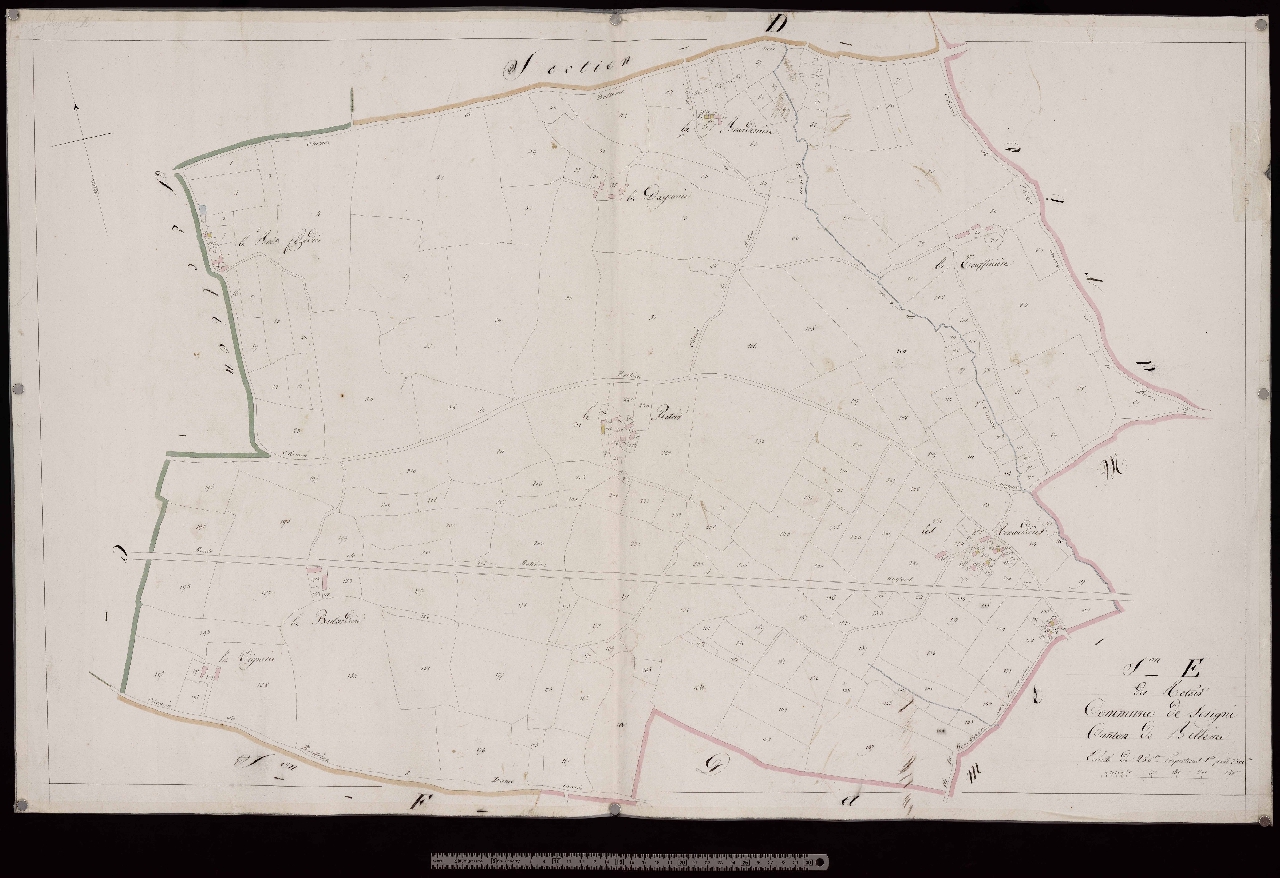 Section E