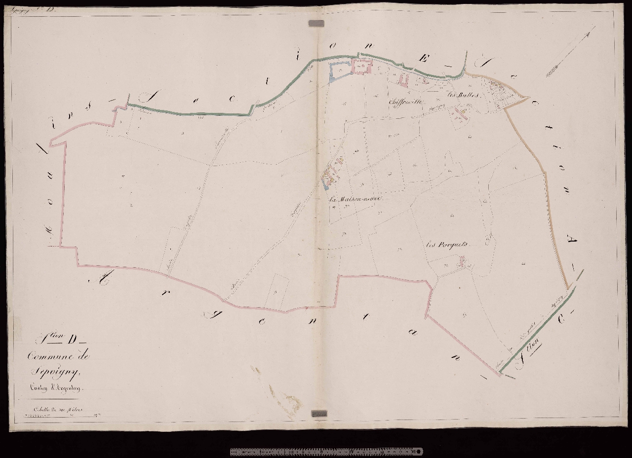 Section D