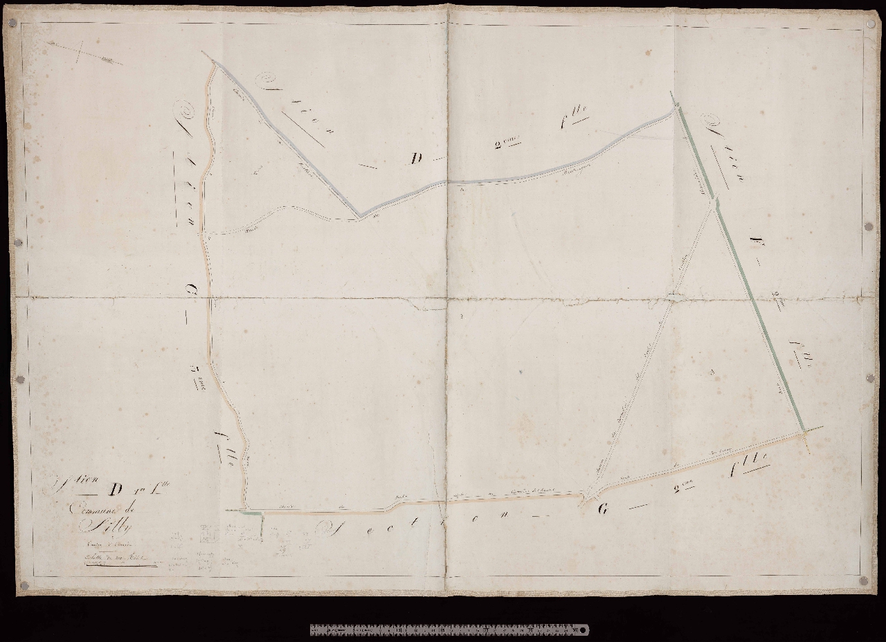 Section D1
