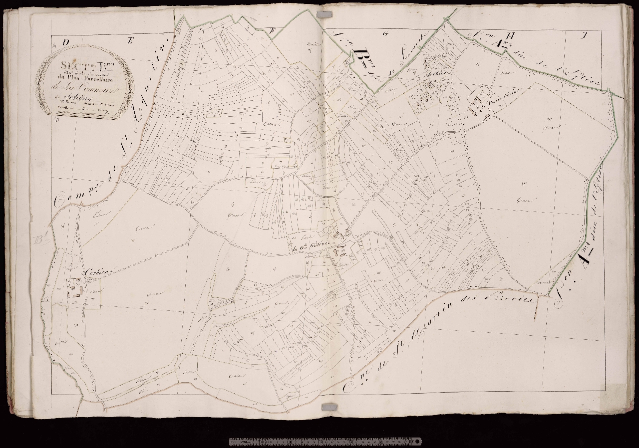 Section B1