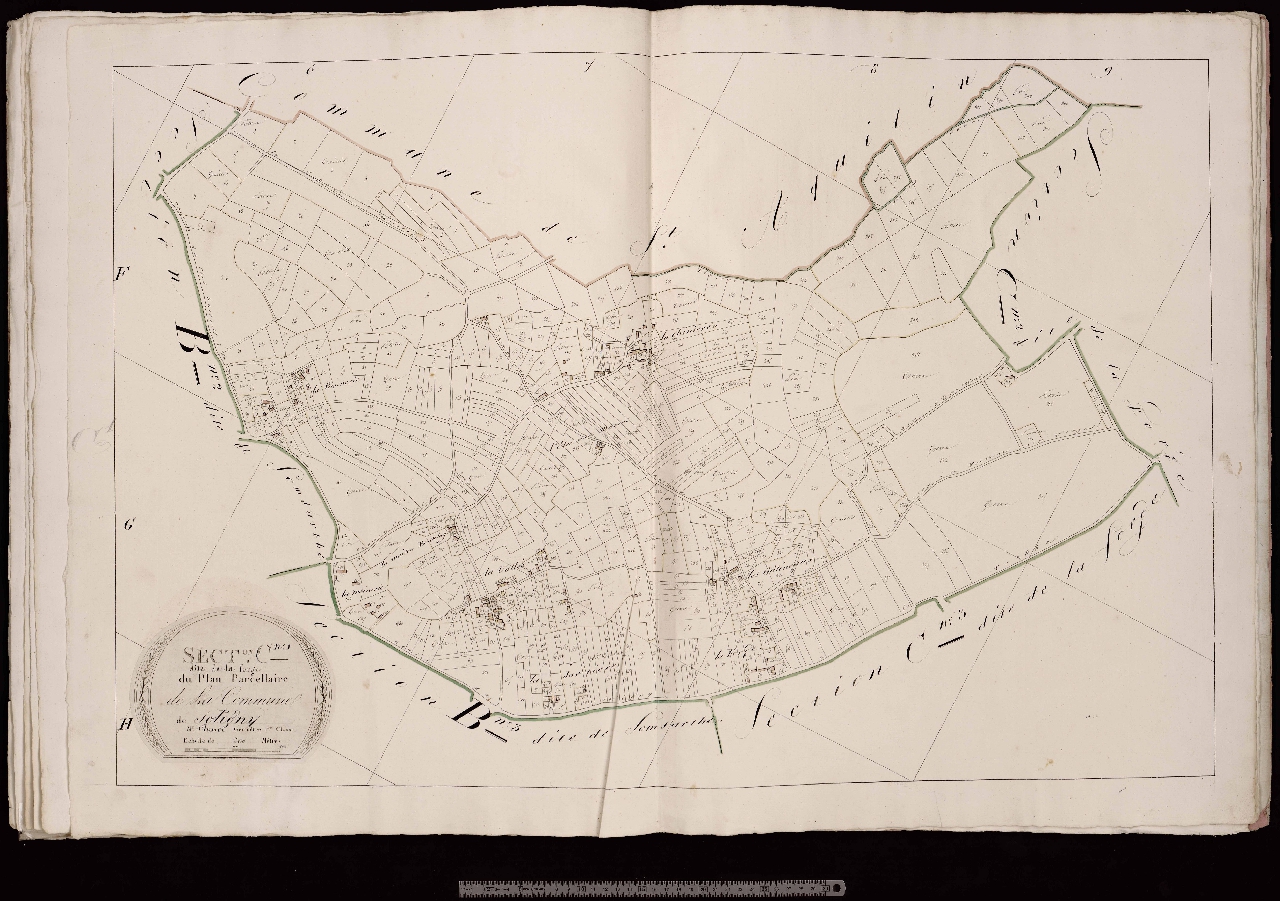 Section C1