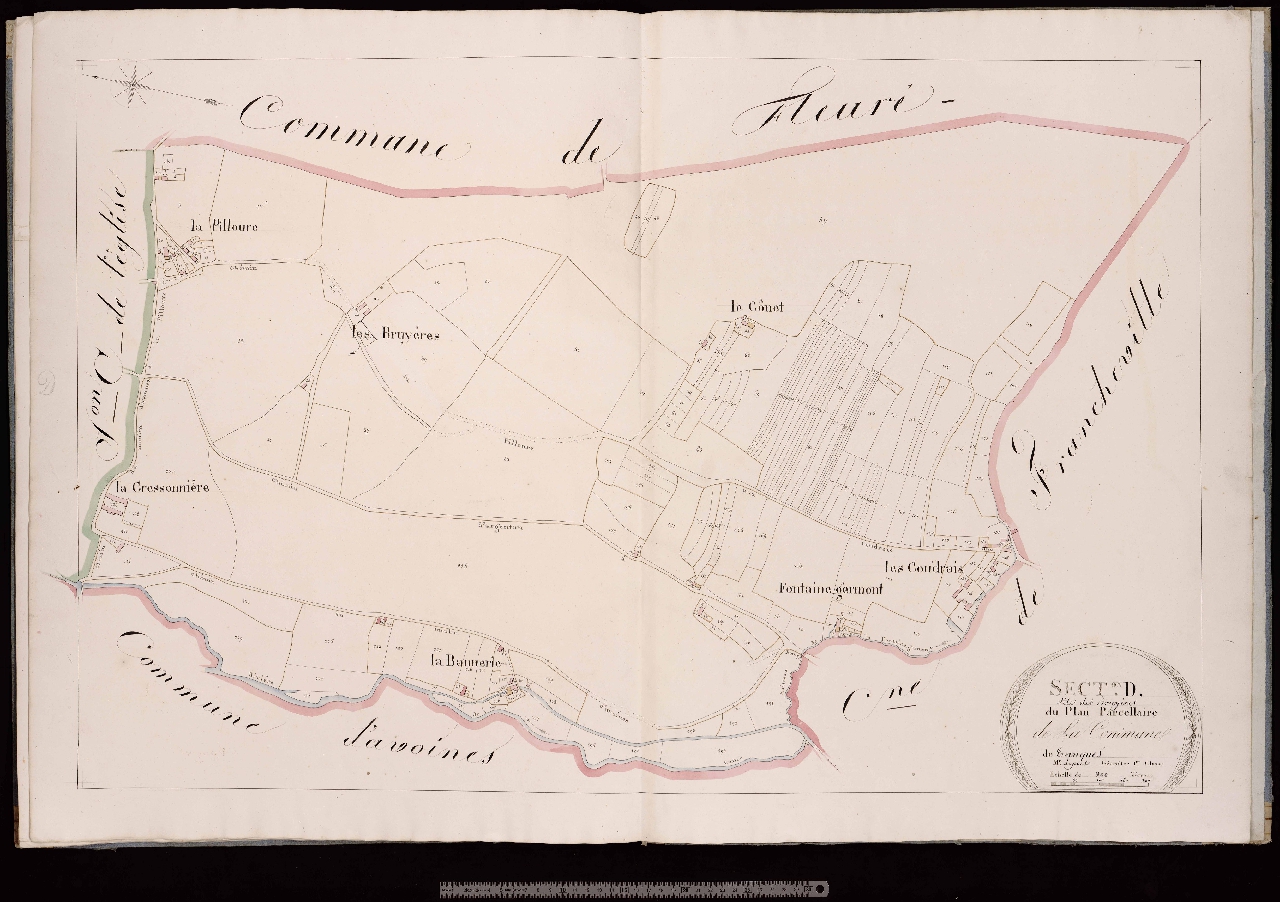 Section D