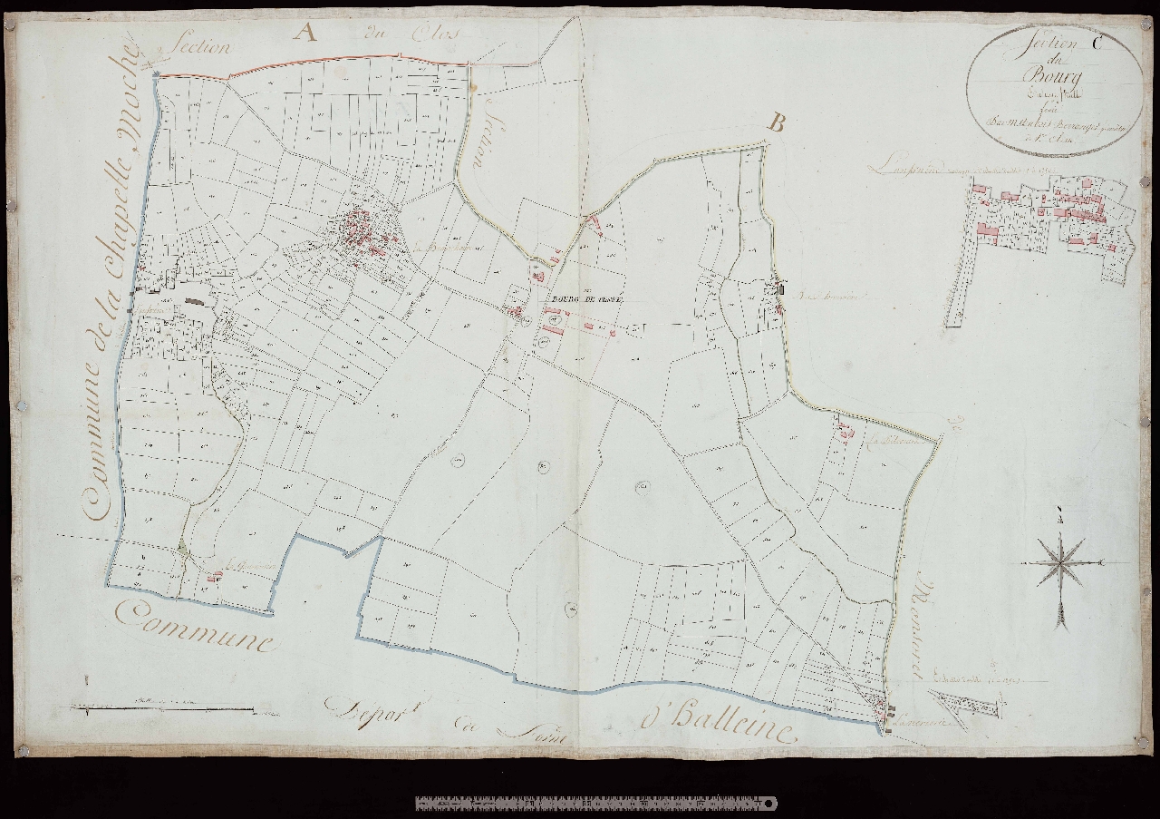Section C