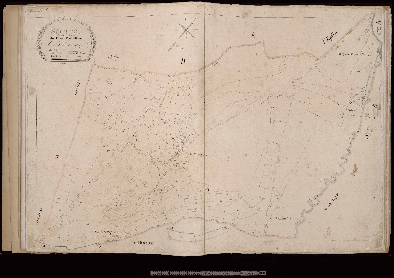 Section C